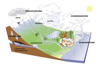 El ciclo del agua